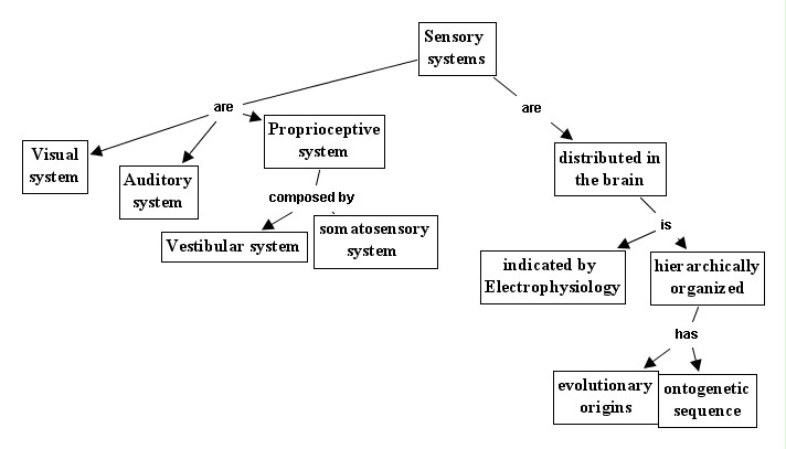 Sensory systems